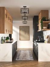 PROG_Hillcrest_Kitchen_Modern_transitional_P350264-31M_3D_appshot.jpg