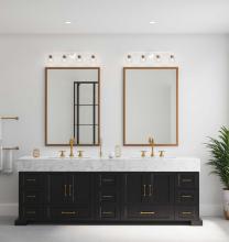 PROG_Quillan_Bathroom_Transitional_P300491-197_3D_appshot.jpg