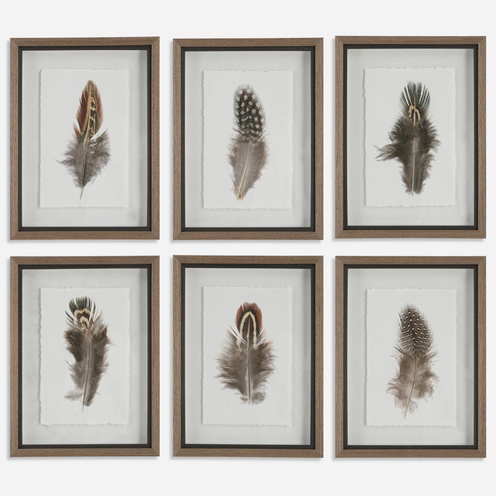 Birds Of A Feather Framed Prints, S/6