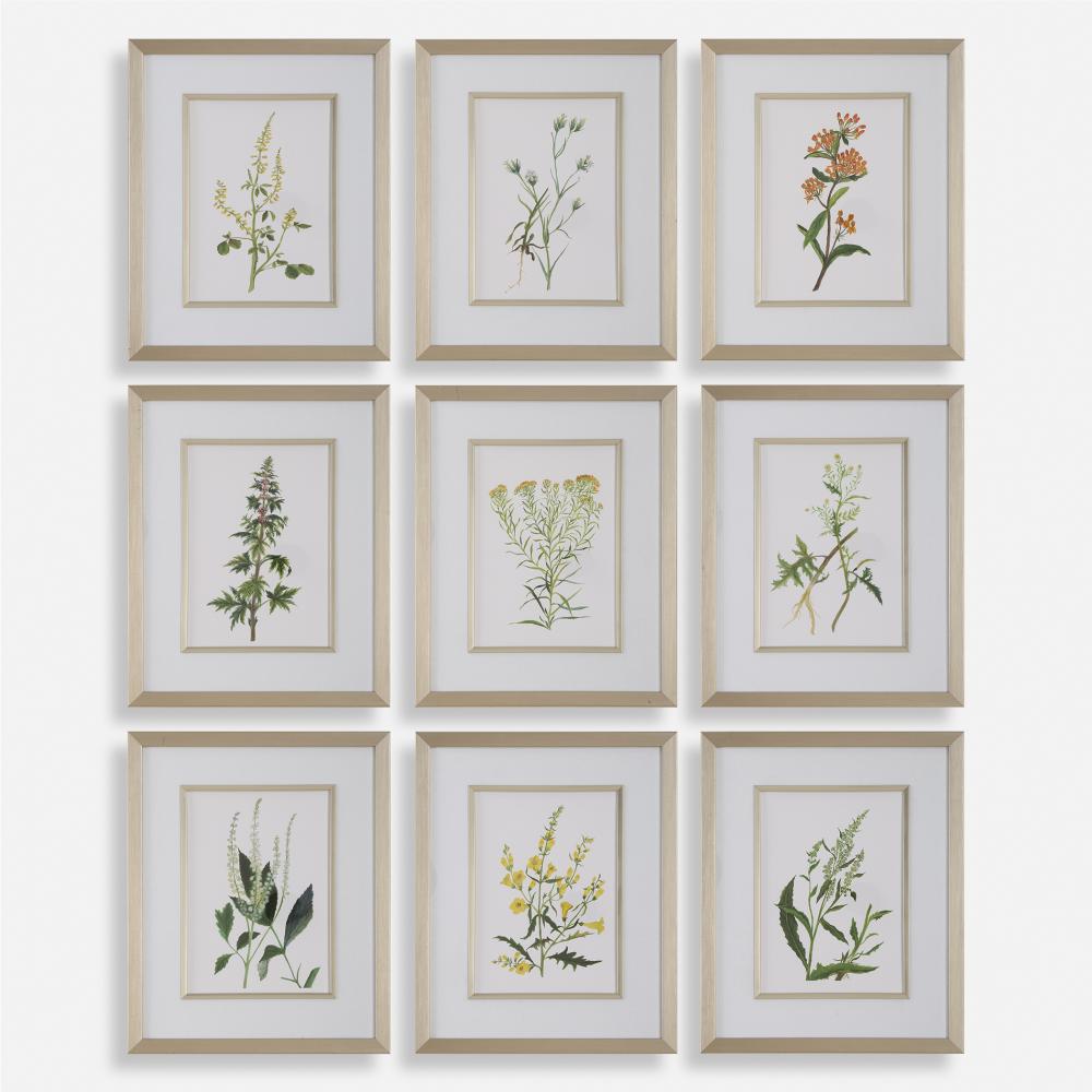 Botanical Flowers Framed Prints, S/9