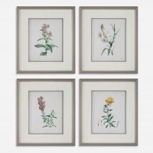 Uttermost 32285 - Heirloom Blooms Study Framed Prints Set/4